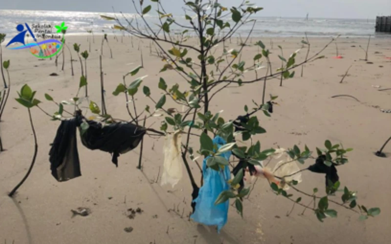 bersih sampah 2